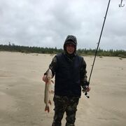 ���������� ����� �������, ���� ������� �������, 36 ���, ������������ ��� ������, ����� � ���������, c�������� ���������, ���������