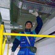 ���������� ������������, ���� ������� �������, 51 ���, ������������ ��� ����� � ���������, c�������� ���������