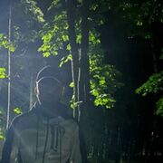 ���������� �����, ���� ����� �����, 23 ����, ������������ ��� ������, ����� � ���������, c�������� ���������