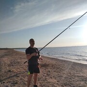 ���������� �����, ���� ������� LION, 32 ����, ������������ ��� ������, ����� � ���������, ���������