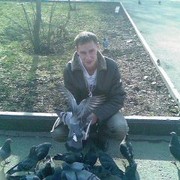  -,   , 39 ,   ,   , c 
