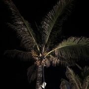 ���������� �������, ���� ����� Sunshine, 23 ����, ������������ ��� ������, ����� � ���������, ���������