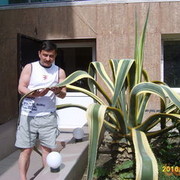 ���������� �����������, ���� ������� ������, 56 ���, ������������ ��� ������, ����� � ���������, c�������� ���������