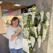  ,   , 54 ,   ,   , c 