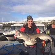 ���������� ������� ��������, ���� ������� ALEX, 55 ���, ������������ ��� ������, ����� � ���������, c�������� ���������