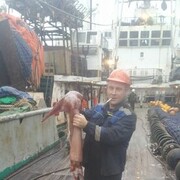 ���������� �����������, ���� ������� ���������, 37 ���, ������������ ��� ����� � ���������, c�������� ���������