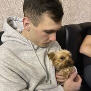 ���������� �����, ���� ������� ��������, 26 ���, ������������ ��� ������, ����� � ���������