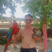 ���������� �������, ���� ������� ���������, 65 ���, ������������ ��� ������, ����� � ���������, c�������� ���������