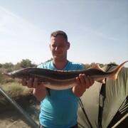 ���������� �����, ���� ������� ������, 39 ���, ������������ ��� ������, ����� � ���������