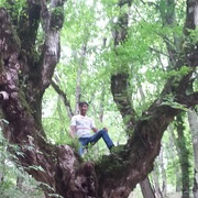 ���������� �����, ���� ������� Elmin, 39 ���, ������������ 