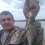 ���������� �����������, ���� ������� �������, 36 ���, ������������ ��� ������, ����� � ���������