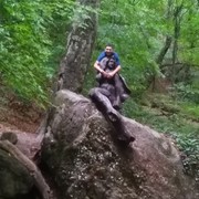  ,   , 34 ,   
