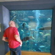 ���������� ����, ���� ������� Andrej, 76 ���, ������������ 