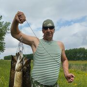  ,   , 55 ,   
