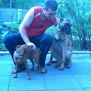  ,   , 56 ,     , c , 
