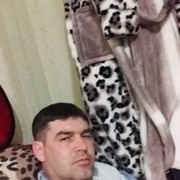  -,   , 41 ,  