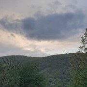  ,   , 61 ,  