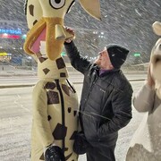 ���������� ���������� �����, ������� ������, 43