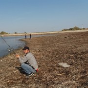 ���������� ������, ���� ������� ������, 46 ���, ������������ ��� ������, ����� � ���������, c�������� ���������