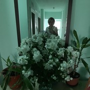  ,   , 61 ,   ,   , c 