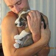 ���������� ���������, ���� ������� ����, 38 ���, ������������ ��� ������, ����� � ���������, c�������� ���������