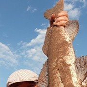 ���������� ������, ���� ������� �����, 41 ���, ������������ ��� ������, ����� � ���������, c�������� ���������