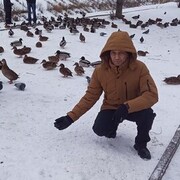  ,   , 51 ,   ,   