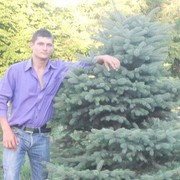 ���������� ������ �����, ���� ������� �����, 33 ����, ������������ ��� ������, ����� � ���������, c�������� ���������