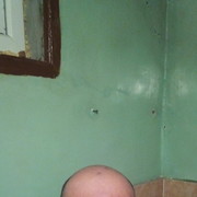  ,   Fox, 48 ,   ,   , c , 