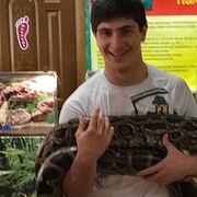 ���������� �����, ���� ����� ������, 22 ����, ������������ ��� ������, ����� � ���������