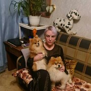 ���������� �������, ���� ������� ������, 50 ���, ������������ ��� c�������� ���������, ���������