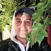 ��������� 40 ���� �����������.