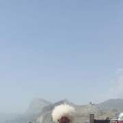 ���������� ��������, ���� ������� BORIS, 43 ����, ������������ ��� c�������� ���������