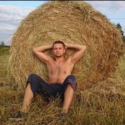 ���������� ������, ���� ������� �������, 40 ���, ������������ ��� ������, ����� � ���������, c�������� ���������