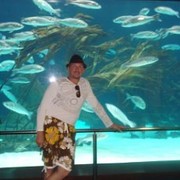 ���������� ��������, ���� ������� �����, 62 ����, ������������ 