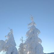 ���������� ��������, ���� ������� �����, 35 ���, ������������ ��� ������, ����� � ���������, c�������� ���������, ���������