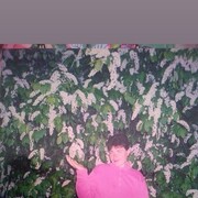  ,   , 52 ,   