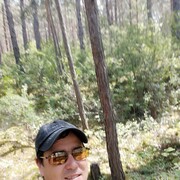  ,   , 40 ,  