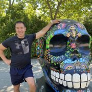 ���������� ����, ���� ������� �������, 43 ����, ������������ ��� ������, ����� � ���������