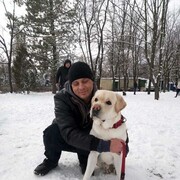 ���������� ��������, ���� ������� �������, 41 ���, ������������ ��� c�������� ���������, ���������