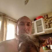  ,   , 44 ,   , 