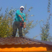  ,   , 37 ,     , c 