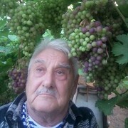 ��� ��������.