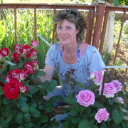 ���������� �����, ���� ������� �����, 51 ���, ������������ ��� ������, ����� � ���������