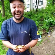 ���������� �������, ���� ������� ��������, 41 ���, ������������ ��� ������, ����� � ���������