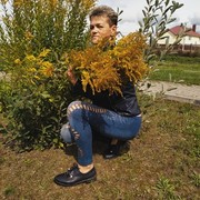  ,   , 55 ,  