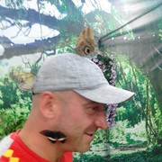  ,   , 52 ,   