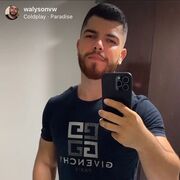 ���������� ������, ���� ������� Walle, 31 ���, ������������ ��� ������, ����� � ���������, c�������� ���������, ���������