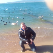 ���������� ���������, ���� ������� �����, 40 ���, ������������ ��� ������, ����� � ���������, c�������� ���������