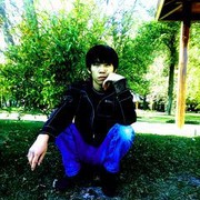 ,    , 33 ,   
